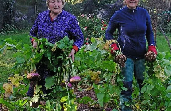 Mara Štolfa - Skočna je ena od gospodinj, ki je Romani Marinšek 
Logar (desno) pripovedovala recepte iz drugih časov.