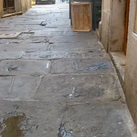 Vsi kuhinjski in drugi odpadki bi morali biti v vrečah in zaprtih 
posodah, iz katerih naj se ne bi nič cedilo, a masten tlak priča 
o nasprotnem.
