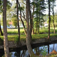 Milijon za ukrotitev vode