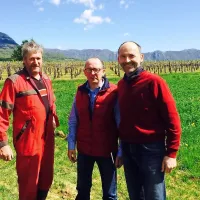 Željko Mihelj (v sredini)  “belgijski” vinograd obdeluje, Matjaž 
Lemut (desno) iz grozdja dela vino,  Kurt Dewaele pa ga 
predstavlja svetu. 