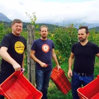  Belgijci na lanski trgatvi v svojem vinogradu v Vipavski dolini.