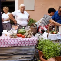 &ldquo;Dobra &scaron;al&scaron;a se začne v zemlji&rdquo;