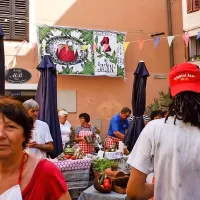 &ldquo;Dobra &scaron;al&scaron;a se začne v zemlji&rdquo;