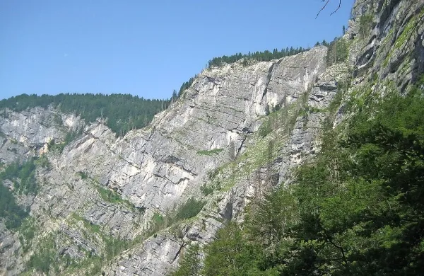 Komarča