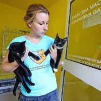 Vodja zavetišča je Mateja Suklan, veterinarka, zaposlena na 
Komunali Koper.