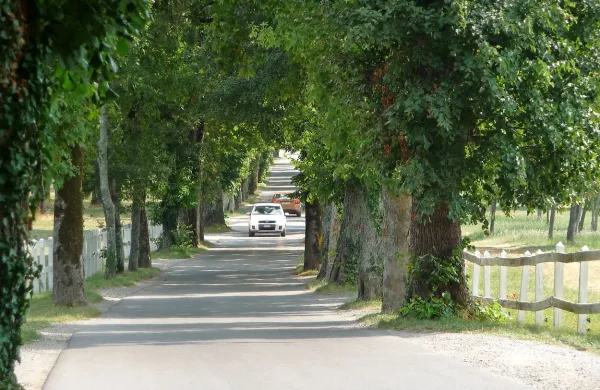 Kobilarna Lipica namerava cesto od lipiških vrat do Lipice 
spremeniti iz dvosmerne v enosmerno. S tem pa se ne 
strinjata Občina Sežana in Casino Portorož, ki ima v Lipici 
igralnico.