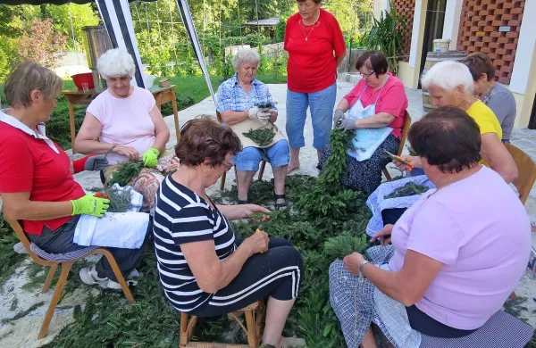 Venčki spleteni, &scaron;maren bo velik