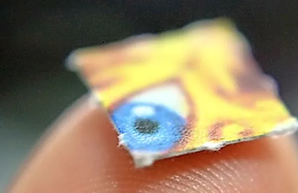 Nizozemci so bili pod vplivom LSD-ja.