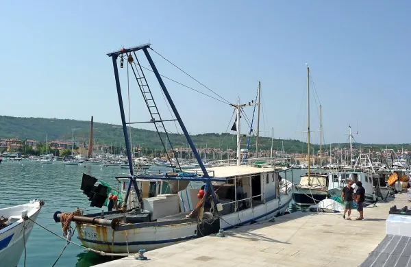 Izolska občina je kočarico Biser pred tremi leti odkupila od  
izolskega ribiča Loredana Puglieseja,  ker jo je lastnik želel 
poslati v razrez. Za to je namenila 51.000  evrov.   