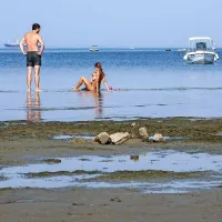 Ankarančani zahtevajo, da Luka Koper očisti mulj z njihovih plaž