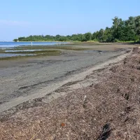 Ankarančani zahtevajo, da Luka Koper očisti mulj z njihovih plaž