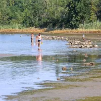 Ankarančani zahtevajo, da Luka Koper očisti mulj z njihovih plaž