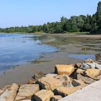 Ankarančani zahtevajo, da Luka Koper očisti mulj z njihovih plaž