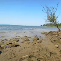 Izpod slanega travnika je plaža Sv. Nikolaja, ki je videti kot 
nikogaršnji svet.