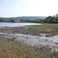 Ankarančani zahtevajo, da Luka Koper očisti mulj z njihovih plaž