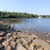 Ankarančani zahtevajo, da Luka Koper očisti mulj z njihovih plaž