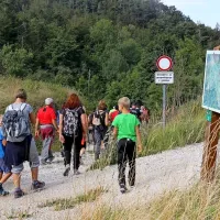 Udeleženci dopoldanskega pohoda Za zidom so za krožno 
pot okrog Lokvi potrebovali tri ure in pol sproščene hoje.