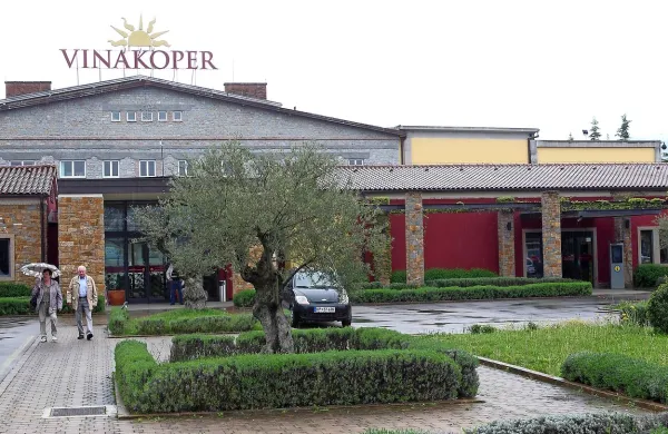 Vinakoper posluje čedalje bolje, a spori med lastniki gotovo 
niso dobra popotnica. 