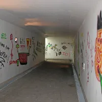 Komaj dobro prenovljeno košansko postajo, ki je po žledu 
samevala, so že dodobra uničili vandali, postala pa je tudi 
shajališče narkomanov. 