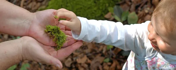  Kdor je neposredno povezan z naravo, jo bo drugače čutil.