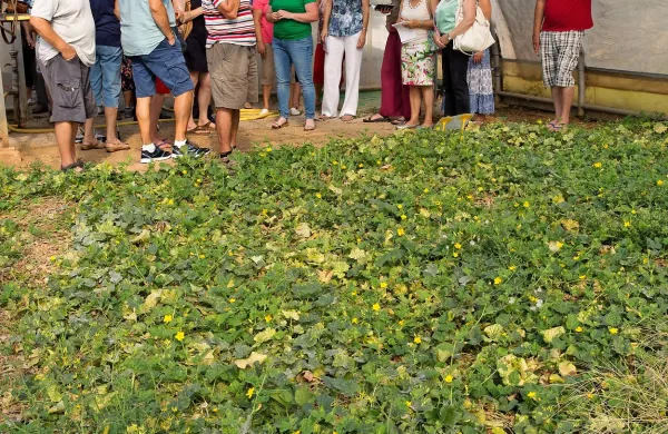 Dan odprtih vrat na Purissimi navdu&scaron;il