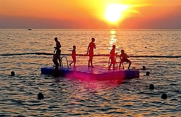 Mokra mačka