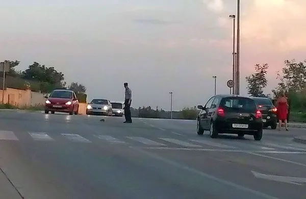 Mesto Pulj je fotografijo objavilo na svoji facebook strani, ki 
so jo do današnjih dopoldanskih ur spremili z nekaj manj kot 
14.000 všečki ter z vrsto pozitivnih komentarjev.