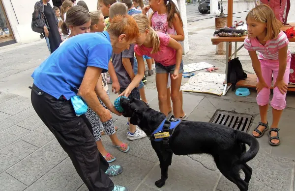 Prijazni psi, ki sodelujejo z društvom za terapijo s pomočjo 
psov Tačke pomagačke, so vabili k spoznavanju in 
božanju.