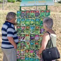 Katero seme izbrati?