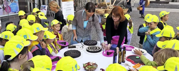 Fižolova torta, ki je prvi šolski dan navdušila prvošolčke,  je - 
za razliko od drugih sladkarij - zdrava. 