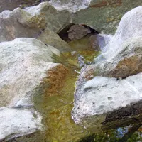 Potok Kubik potuje po koritih in sredi gozda vabi k pitju čiste 
pitne vode.