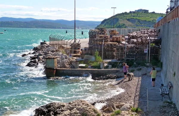 Izolska občina je pred tremi leti uredila pasjo plažo. Zdaj 
razmišlja o novi.  