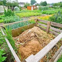 Domači kompost je pravo zlato vsakega vrta, saj ohranja trajni humus v tleh.