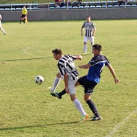 Vipavski novinci v vrhu