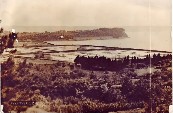 Na območju avtokampa v Luciji je do leta 1970 stalo skladišče soli Antenal (na polotoku 
Seča).