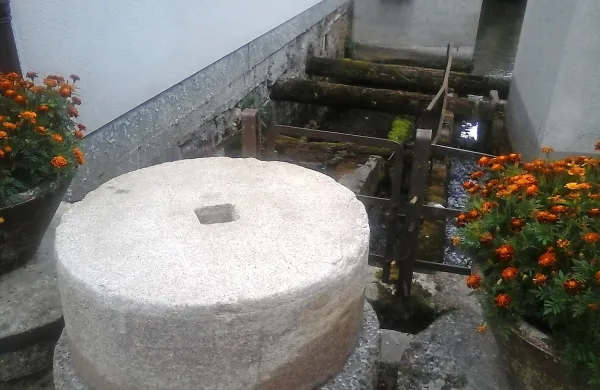 V Ilirski Bistrici bo vodnica Milojka Primc v soboto ob 10. uri obiskovalce 
popeljala ob starih mlinih in žagah  na potokih Bistrici in Sušcu. 

