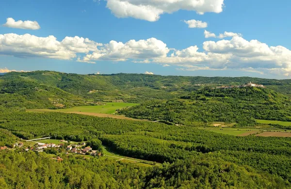 Kar naredi Istro tako posebno, so biološke raznolikosti, bogat 
rastlinski svet, ter posebne lastnosti mikroklime. Bujna vegetacija, ki pokriva pobočja, se povezuje v edinstveni svet 
flore in favne. Naravni procesi, ki so se odvijali skozi vrsto let 
so omogočili prebivališče mnogim rastlinskim in živalskim 
vrstam.