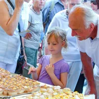Koper - prestolnica plemena sladkosnedih