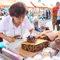 Koper - prestolnica plemena sladkosnedih