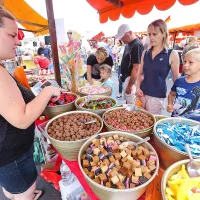 Koper - prestolnica plemena sladkosnedih