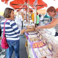 Koper - prestolnica plemena sladkosnedih