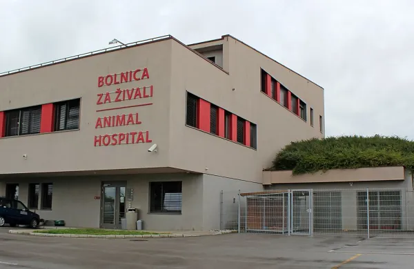 V postojnskem zavetišču za živali, ki je delovalo v sklopu 
Bolnice za živali, so po treh letih delovanja odpovedali 
pogodbe občinam. V njem je še 20 mačk, ki čakajo posvojitelje. 



