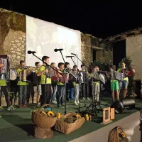 harmonikarski orkester Glasbene šole Palbin