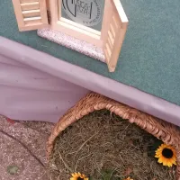 Pesem na vasi je gostil Poljubinj