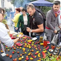 Čiliji so v Izolo pritegnili radovednost in dobro voljo (foto)