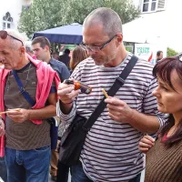 Čiliji so v Izolo pritegnili radovednost in dobro voljo (foto)