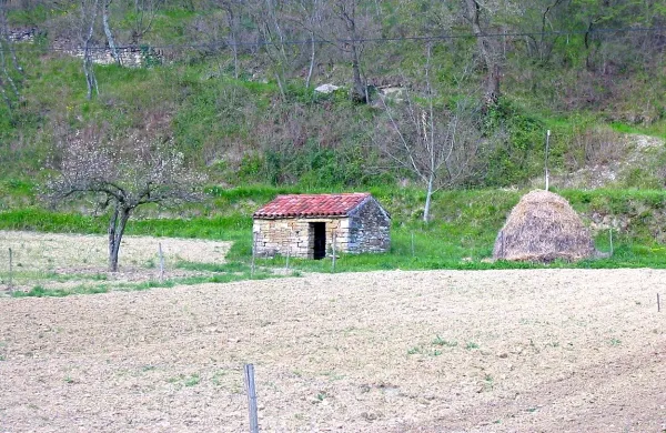  Istrske občine želijo doseči, da bi v njihovo last prepisali kmetijska zemljišča, ki jih zdaj 
upravlja  sklad kmetijskih zemljišč in gozdov.