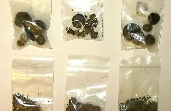 Mladi Tržačani so odjemalcem dobavljali različne vrste drog. 
Po zalogo naj bi se vsak teden odpravljali v Slovenijo.