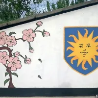Spomladanski cvet kot simbol društva Behar in koprsko 
sonce.