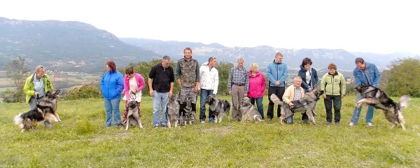 Kra&scaron;ki ovčar - bogastvo, ki ga je treba negovati